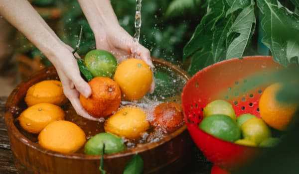 Es de suma importancia que laves correctamente las frutas y legumbres antes de consumirlas, ya que previo a llegar a tus manos pasan por un…